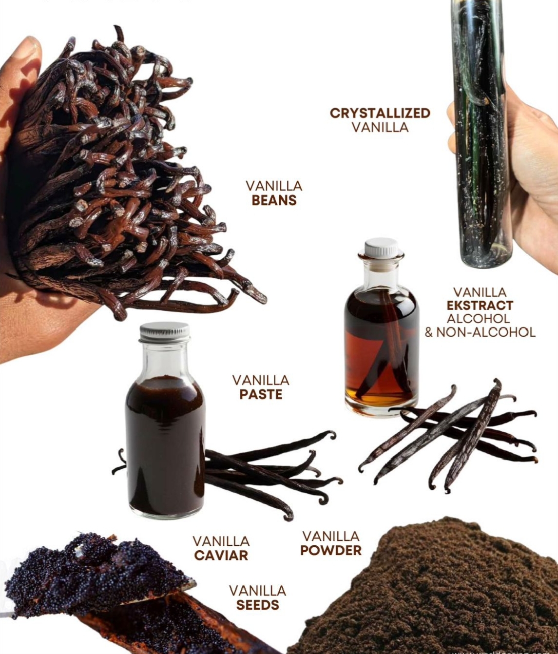 Dedikasi dan Inovasi untuk Kemajuan Vanili Indonesia